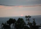 DSC 0026