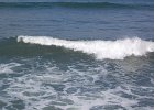 DSC 0028