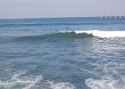 DSC 0029