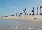 DSC 0045
