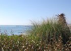 DSC 0202