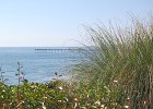 DSC 0203