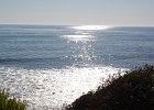 DSC 0204