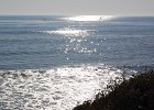 DSC 0205
