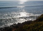 DSC 0217