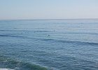 DSC 0223