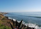 DSC 0224