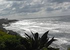 DSC 0490