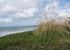 DSC 0500