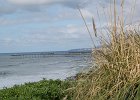 DSC 0501