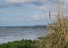 DSC 0502
