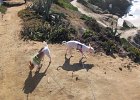 IMG 1941