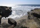 IMG 1945